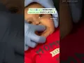 New parents are you struggling with your little one s latch during breastfeeding