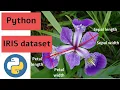 15 iris Dataset Machine Learning project data analysis in python matplotlib pandas