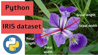 15 iris Dataset Machine Learning project data analysis in python matplotlib pandas