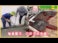 Download Lagu 【越南燕燕】恭喜越南燕燕一家，地圈梁的混凝土终于浇筑完成！燕燕和小林今天晚上就要赶往胡志明，第二天飞回中国！
