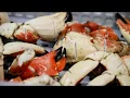 Jonah Crab Tutorial - How to Easily Open a Claw
