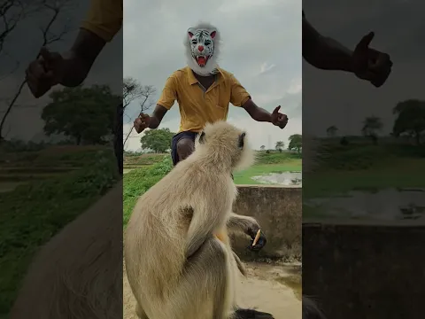 Jai Bajrang ❤️🍇