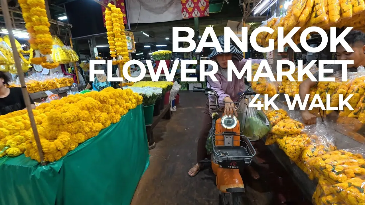 Youtube video WLgcEqyPnz8 