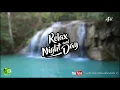 8 Hours Rainforest Sounds, Nature & Forest Birds for Relaxation, Spa & massage rooms