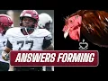 Gamecock Football South Carolina Offensive Line Depth