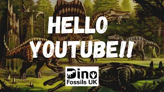 A SHORT INTRODUCTION TO Moroccan Dinosaur Teeth