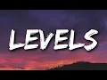 Download Lagu Avicii - Levels (Lyrics)