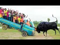 Download Lagu Top Very Special Trending Funny Comedy Video 2025 😂Try To Not Laugh 2025 Episode 305 by Roma Fun Tv