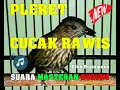 Download Lagu Suara Masteran Burung Pleret (Cucak Rawis) Gacor Nembak Tajam