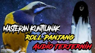 Download Masteran Kuntilanak Roll Panjang Audio Paling Jernih MP3
