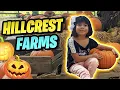 The Best Pumpkin Patches EVER Hillcrest Farms