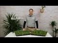 How Many Grass Plugs Do I Need