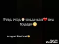 Download Lagu Ika Vuje-Malu malu kucing😊