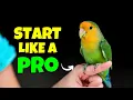 Download Lagu LoveBird 101: Diet, Cage, Common Mistakes, and Expert Tips for New Owners