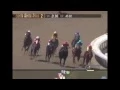 Santa Anita Race Track How to read the race program part 2 of 3