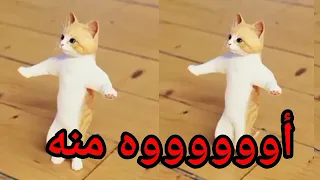 اغنية باسم منة منه الزينة منة اغنية منه السعودية الكويت العراق قطر البحرين الجزائر تركيا دبي الرياض 