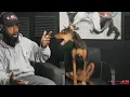 Doberman Ear Cropping What You NEED to Know