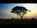 Blue Sunrise - Olly Wall