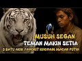 Download Lagu TAK TERKALAHKAN ‼️ 5 BATU AKIK BERTUAH KESAYANGAN KHODAM MACAN PUTIH 