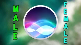 Male And Female Siri Talking To Each Other 2019 
