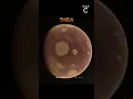 Download Lagu THIS WAS THE FIRST PLANET IN OUR SOLAR SYSTEM 🌍🪐😱 #shorts