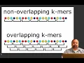 Introducing k-mers sequences of length k