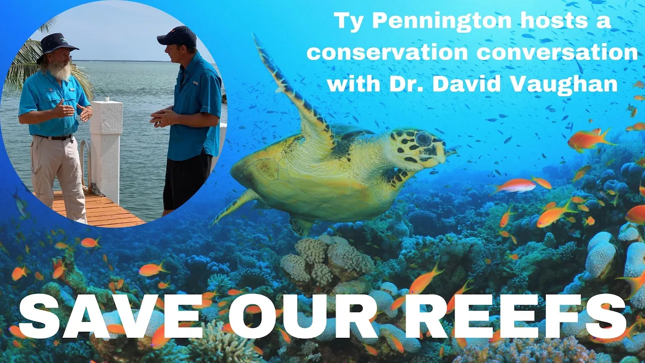 SAVE OUR CORAL REEFS