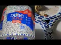 Costco Sale Item Review Dixie Ultra Strength Max Shield MaxShield Technology Disposable Paper Plates