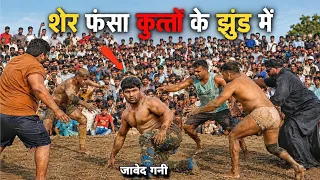 The Lone Lion Javed Gani Dominates Everyone Chased Them Down and Beat Them All New Dangal Jav