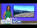 18 000 rental cars are sitting idle at Kahului s airport a dramatic sign of Maui s tourism slum
