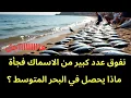 Download Lagu عاجل : نفووق عدد كبير من الاسماك المختلفة على سواحل دولة عربية 