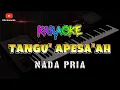 Download Lagu KARAOKE //TANGU' APESA''AH NADA PRIA // VERSI KOPLO KORG PA 700