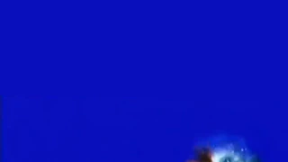 Nicktoons On Screen bug 2009 2014 template