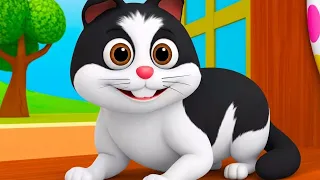 Meow Meow Billi Karti Meow | म्याऊं म्याऊं बिल्ली करती म्याऊँ | Cute Cat Song & Hindi Rhymes For Kid