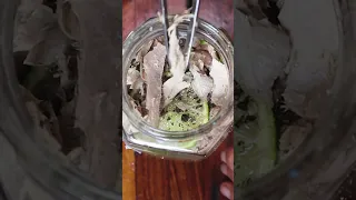 DAY 72: Making do out on the big blue 🐟⛵️#shorts