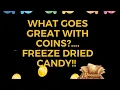 Coin Show Stephens County Fairgrounds Day 2 Day 42 of 100 Day Challenge