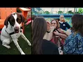 Dallas Pets Alive 2025