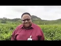 Download Lagu JHON NR GOBAI DPRP PAPUA TENGAH.
