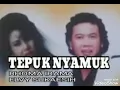 Download Lagu Tepuk Nyamuk - RHOMA IRAMA \u0026 ELVY SUKAESIH ( lagu dangdut jadul )