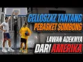 Download Lagu ADU MEKANIK SAMA BULE ⁉️LAWAN BIBIT UNGGUL DARI AMERIKA ADEKNYA CELLOSZXZ‼️