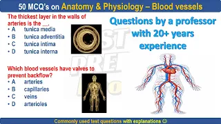 50 Blood vessel practice questions by professor