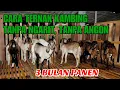 Download Lagu CARA TERNAK KAMBING TANPA NGARIT, TANPA ANGON, DAN TANPA BAU, 3 BULAN PANEN DAN MENGUNTUNGKAN