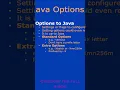 Java Options System Properties
