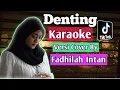 Karaoke Denting Versi Cover Fadhilah Intan - Melly goeslaw