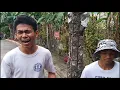 Nik Makino - Neneng B (ft. Raf Davis) (Cover Music Video of CKDC Vines) (Prod. Roko Tensei)
