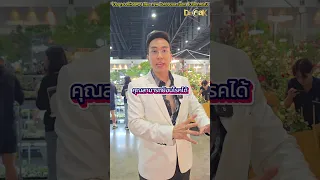 วิตามินดีมีประโยชน์อย่างไรต่อสุขภาพกระดูกและข้อ เช่น อาการปวดเข่าหรือปวดหลัง