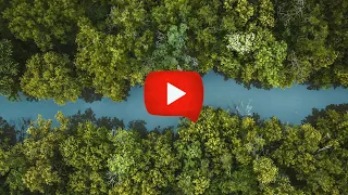 PAUSE FLOW CLASH BIG G Pause 