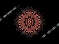 Trampled By Turtles - "The Middle" - Official Video