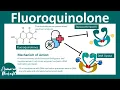 Fluoroquinolones How do fluoroquinolone antibiotics work