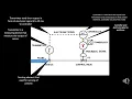 How control loop work Control loop elements Functions